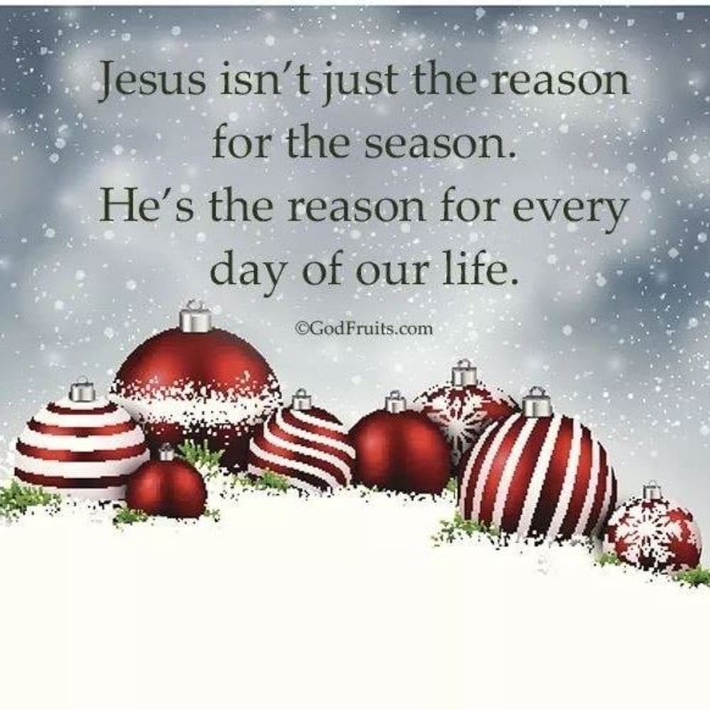 Meet your Posher, Jean